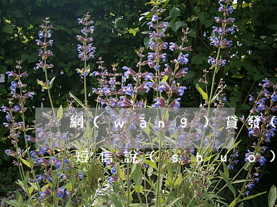 網(wǎng)貸發(fā)來(lái)短信說(shuō)逾期調(diào)查：真的還是假的？